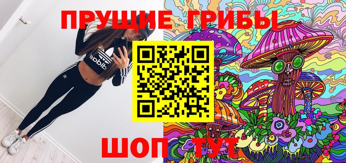Галлюциногенные грибы Psilocybe Каменск-Уральский