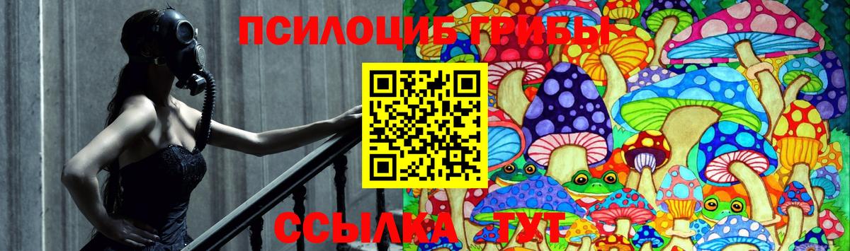 Галлюциногенные грибы прущие грибы  Вход с VPN  Каменск-Уральский  Галлюциногенные грибы ЛСД 